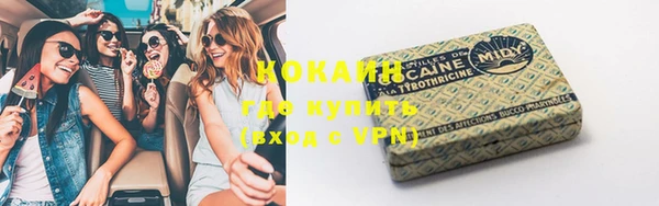 дживик Баксан